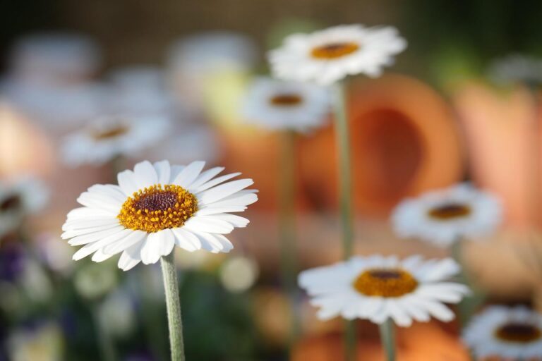 Kies voor kunstplanten en -bloemen voor sfeer